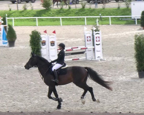Reitturnier Bülach 2022
