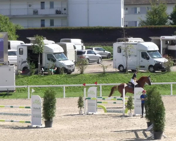 Reitturnier Bülach 2022