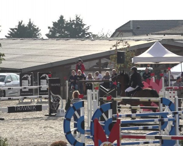 Reitturnier Leichlingen-Witzhelden 2022