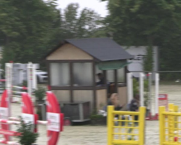 Reitturnier Appelhülsen 2022