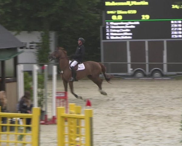 Reitturnier Appelhülsen 2022