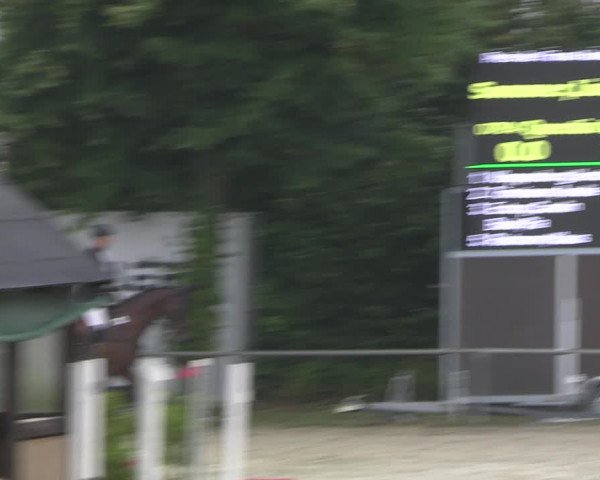 Reitturnier Appelhülsen 2022