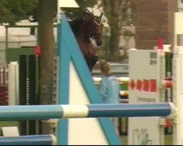 jumper Lara 457 (Württemberger, 2002, from Loving Dancer)