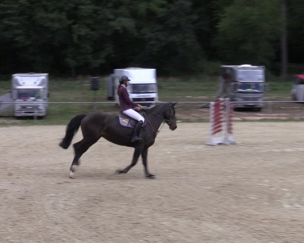 Reitturnier Bad Liebenstein/Sorga 2022