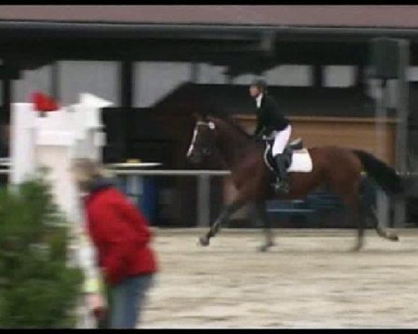 jumper Heralie (Oldenburg, 2003, from Heraldik xx)