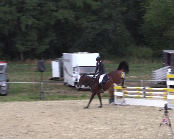 Reitturnier Bad Liebenstein/Sorga 2022