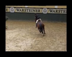 broodmare Gitana 225 (Oldenburg, 1999, from Glorious Fairplay)
