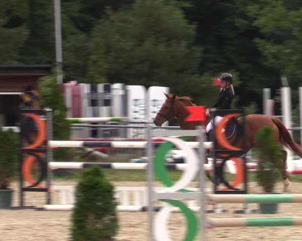 Reitturnier Bad Liebenstein/Sorga 2022