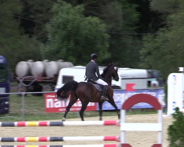 Reitturnier Bad Liebenstein/Sorga 2022
