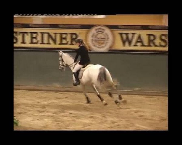 Zuchtstute Vier 3 (KWPN (Niederländisches Warmblut), 2002, von Derrick)