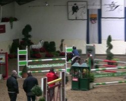 jumper Sg's Miss California (Oldenburg show jumper, 2005, from Couleur Rubin)