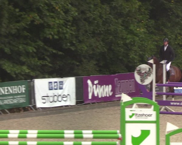 Reitturnier Sörup 2022