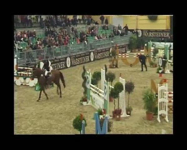 jumper Arwen (Württemberger, 2003, from Alassio)
