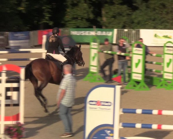 Reitturnier Sörup 2022