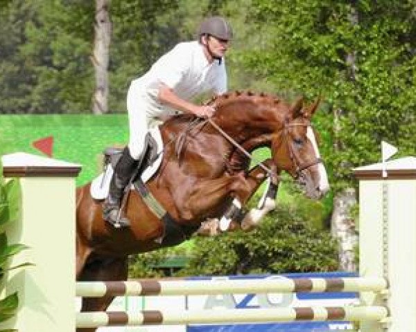stallion Couleur Rouge (Oldenburg, 2002, from Cordalme Z)