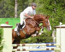 stallion Couleur Rouge (Oldenburg, 2002, from Cordalme Z)