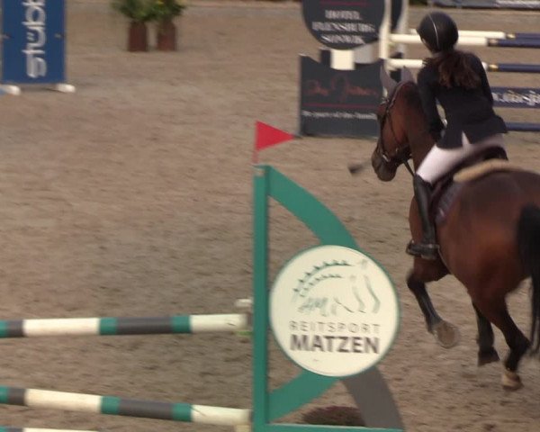 Reitturnier Sörup 2022