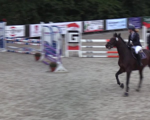 Reitturnier Sörup 2022