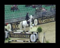 Springpferd Carlon 10 (Oldenburger Springpferd, 2005, von Carinue)
