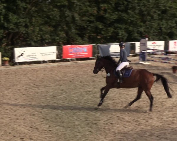 Reitturnier Sörup 2022