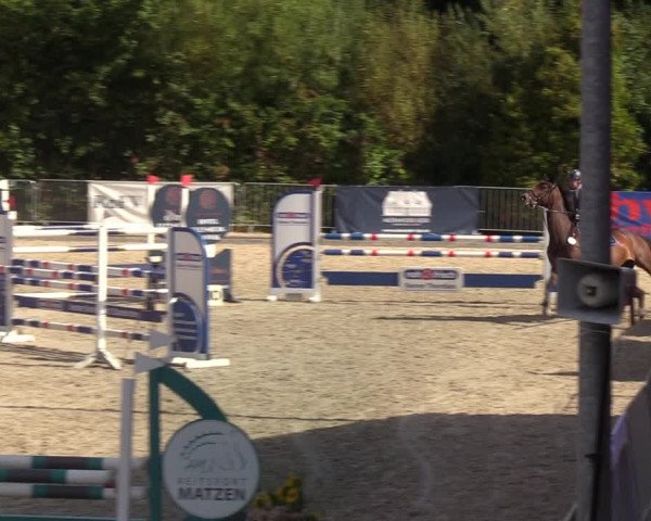 Reitturnier Sörup 2022