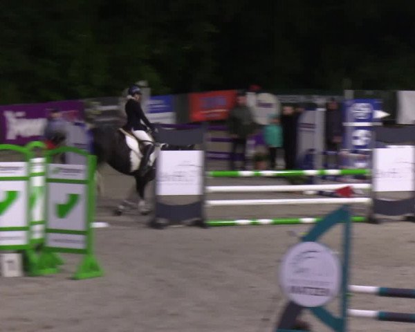Reitturnier Sörup 2022