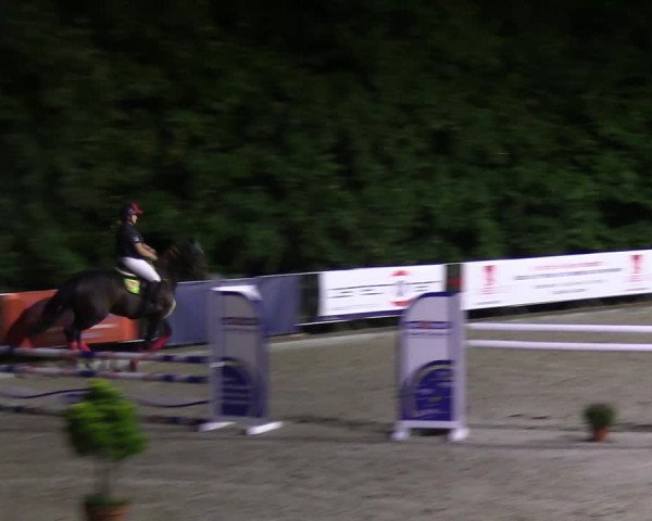 Reitturnier Sörup 2022