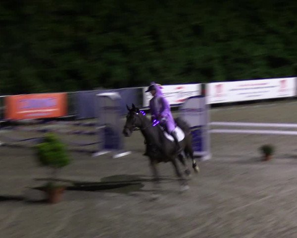 Reitturnier Sörup 2022