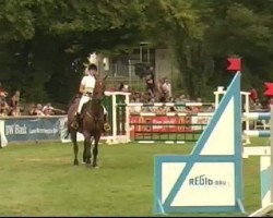 jumper Caprioso 2 (Holsteiner, 2000, from BB Carvallo)