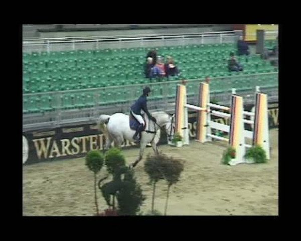 Springpferd Tana Romana P (Holsteiner, 2003, von Askari)