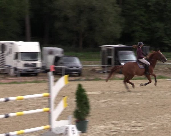 Reitturnier Bad Liebenstein/Sorga 2022