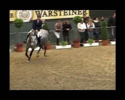 jumper Isabella 156 (Westphalian, 2005, from It's me du Mesnil)