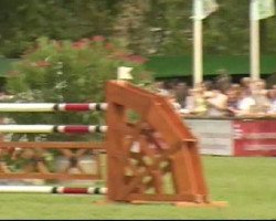 jumper Jack La Motta (KWPN (Royal Dutch Sporthorse), 1998, from Corland)