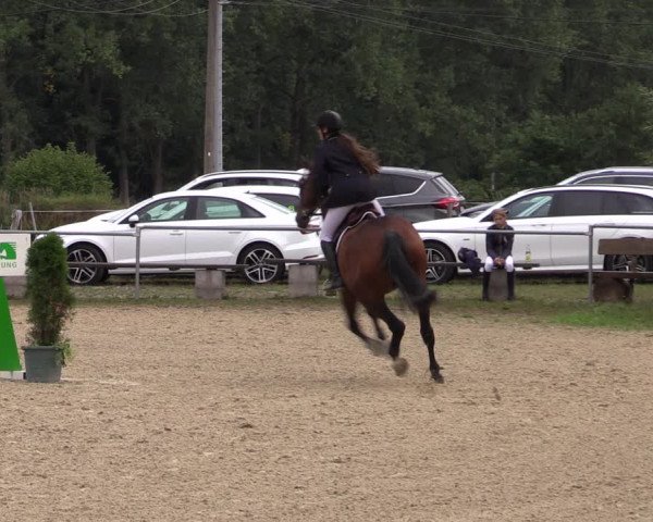 Reitturnier Bad Liebenstein/Sorga 2022