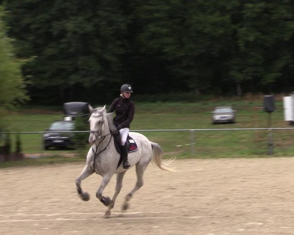 Reitturnier Bad Liebenstein/Sorga 2022