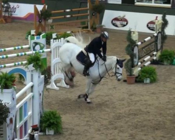 jumper Linus 308 (Hanoverian, 2001, from Ramires)