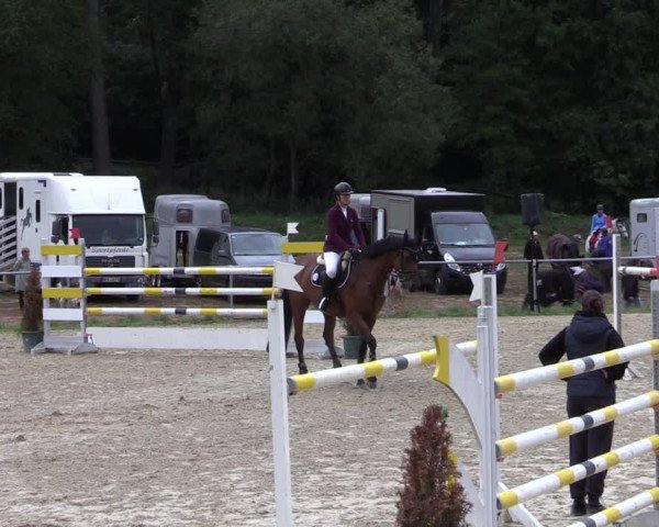 Reitturnier Bad Liebenstein/Sorga 2022