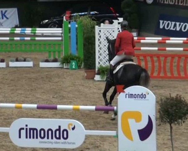 jumper Wiseguy (KWPN (Royal Dutch Sporthorse), 2004, from Odermus R)