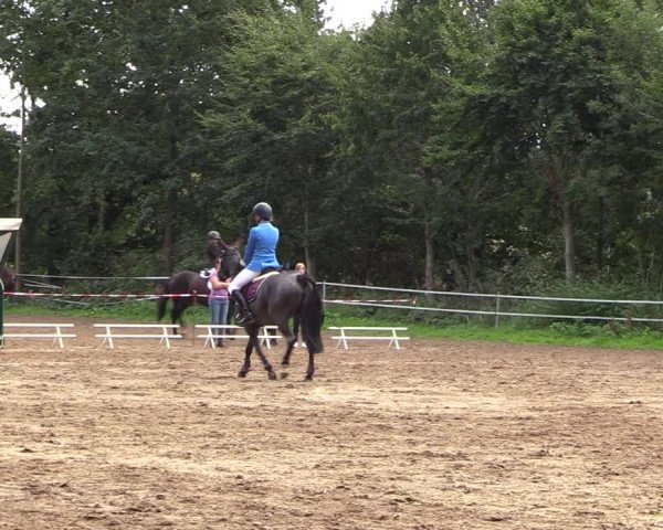 Reitturnier Lgl.-Oberhain, B95 2022