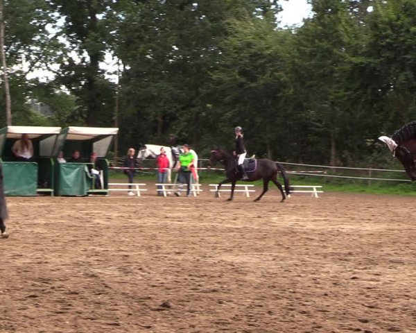 Reitturnier Lgl.-Oberhain, B95 2022