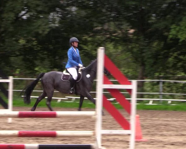 Reitturnier Lgl.-Oberhain, B95 2022