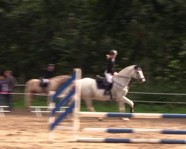 Reitturnier Lgl.-Oberhain, B95 2022
