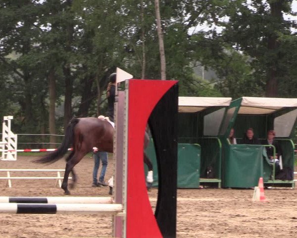 Reitturnier Lgl.-Oberhain, B95 2022