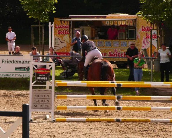Reitturnier Lgl.-Oberhain, B95 2022