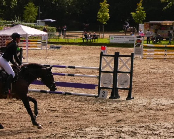 Reitturnier Lgl.-Oberhain, B95 2022