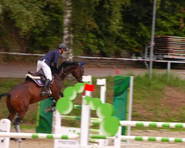 Reitturnier Lgl.-Oberhain, B95 2022