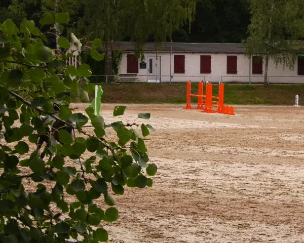 Reitturnier Lgl.-Oberhain, B95 2022
