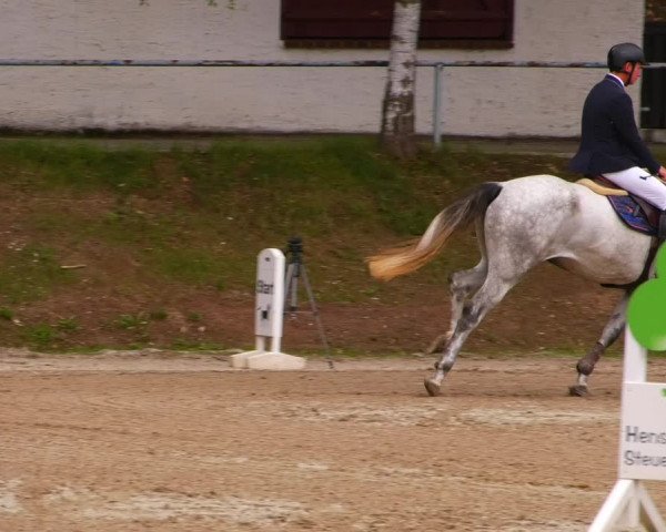 Reitturnier Lgl.-Oberhain, B95 2022