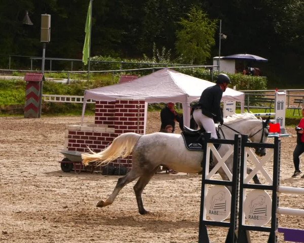 Reitturnier Lgl.-Oberhain, B95 2022