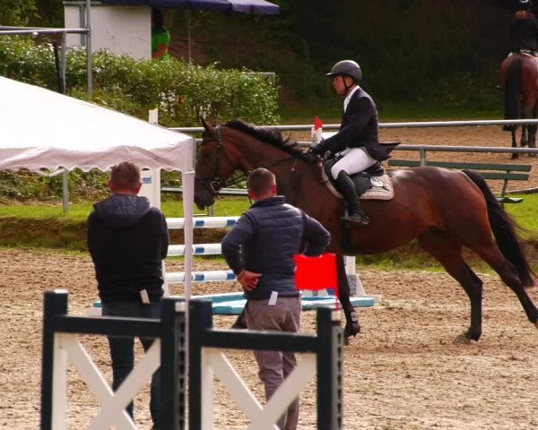 Reitturnier Lgl.-Oberhain, B95 2022